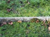 image of grave number 282422